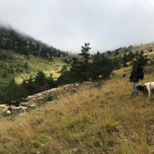Image 1750969465