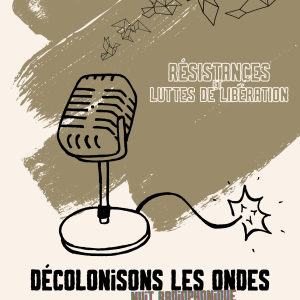 affichea4 de colonisonslesondes vf 2